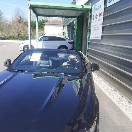 Petite Merveille Bond Montech
